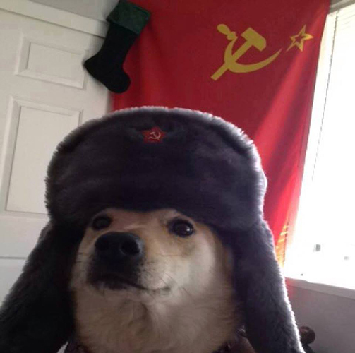 [Imagen: russiandoge.jpg]