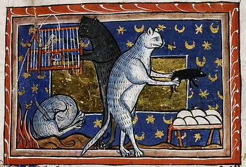 [Imagen: gatomedieval.webp]